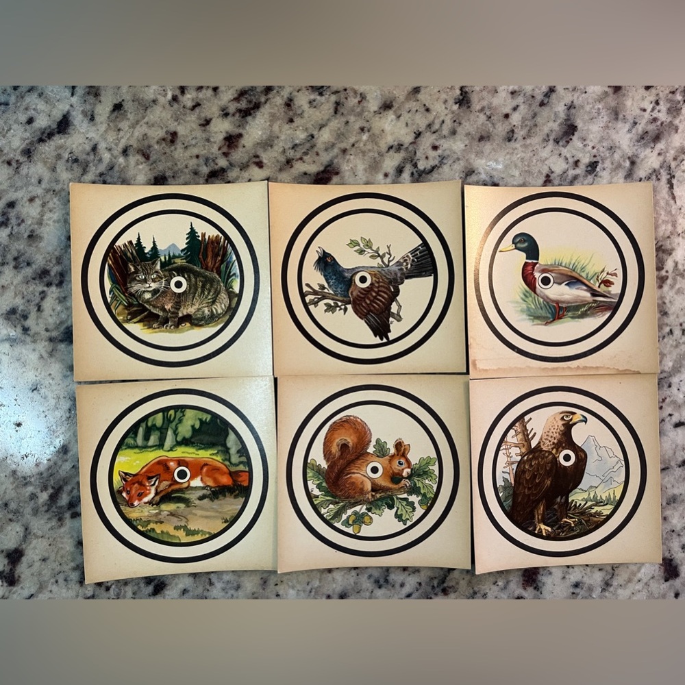 Set of 6 Vintage Shooting Targets from 1940’s: Mallard, Bobcat, Squirrel & More